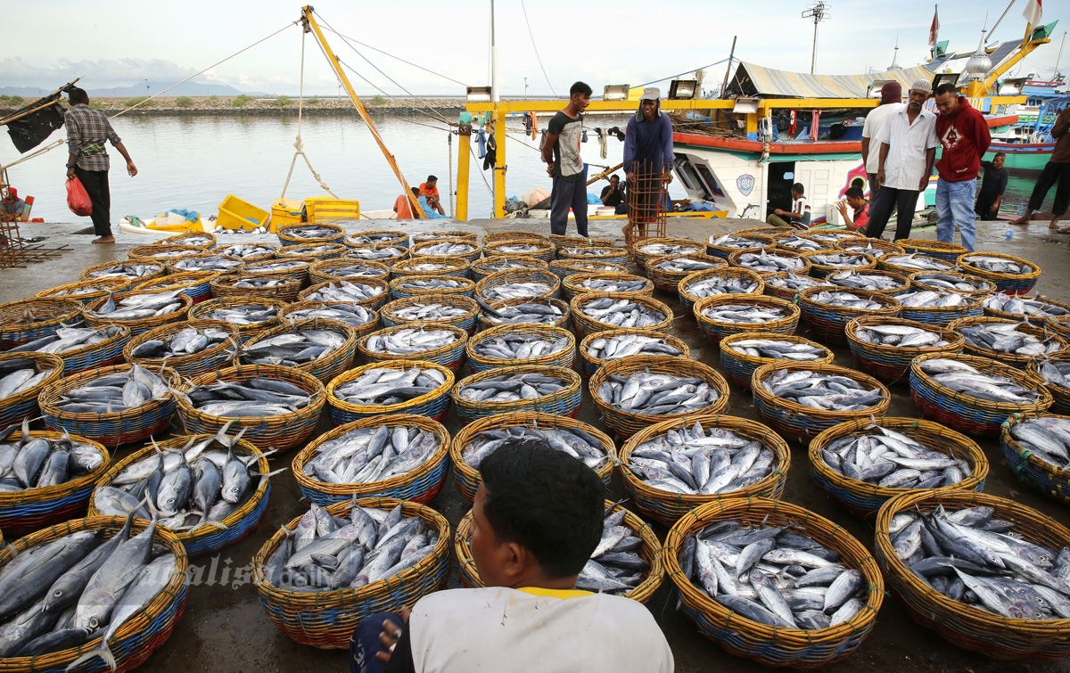 Foto: Segarnya Ikan Lampulo