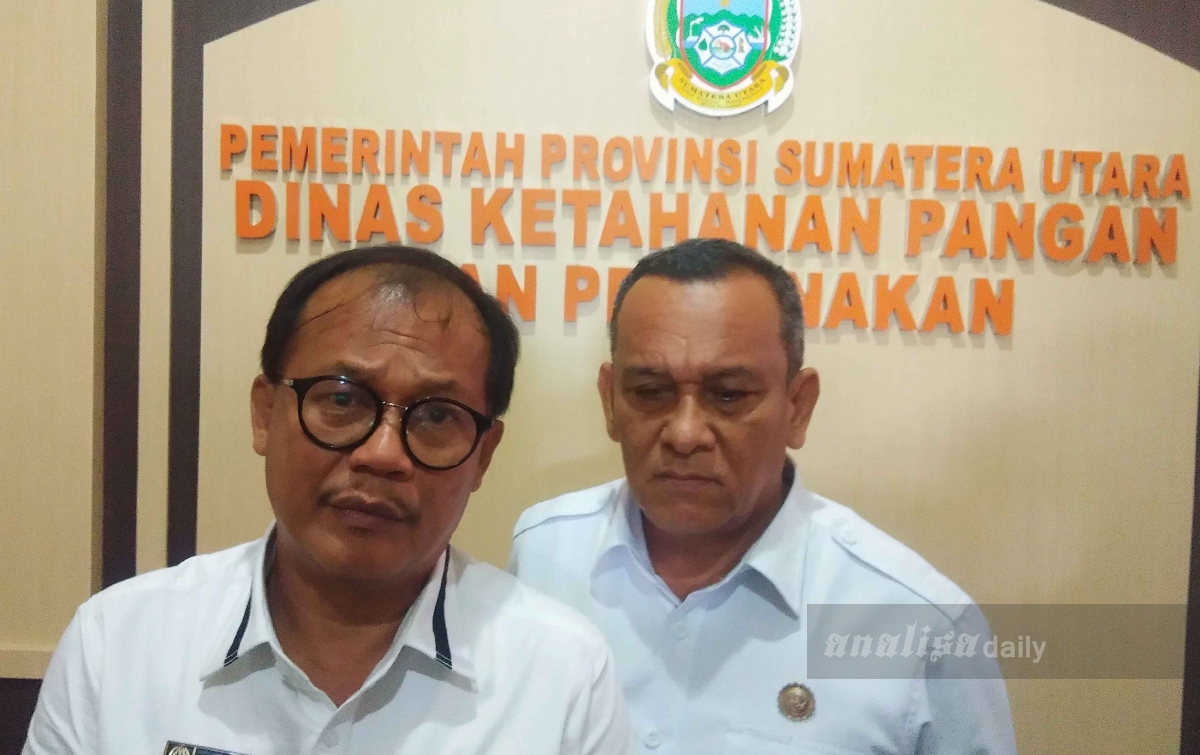 Kematian Babi di Sumatera Utara Capai 30 ribu Ekor