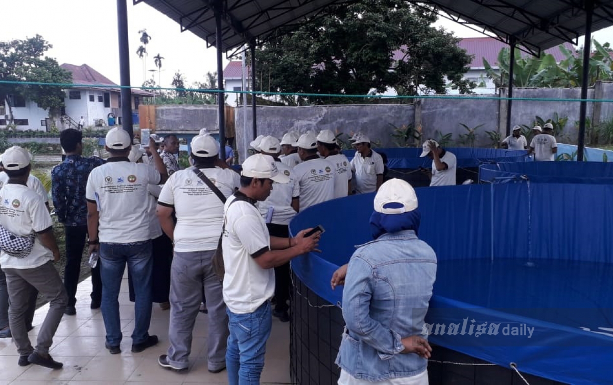 Budidaya Udang Vaname Pakai Kolam Terpal Bundar