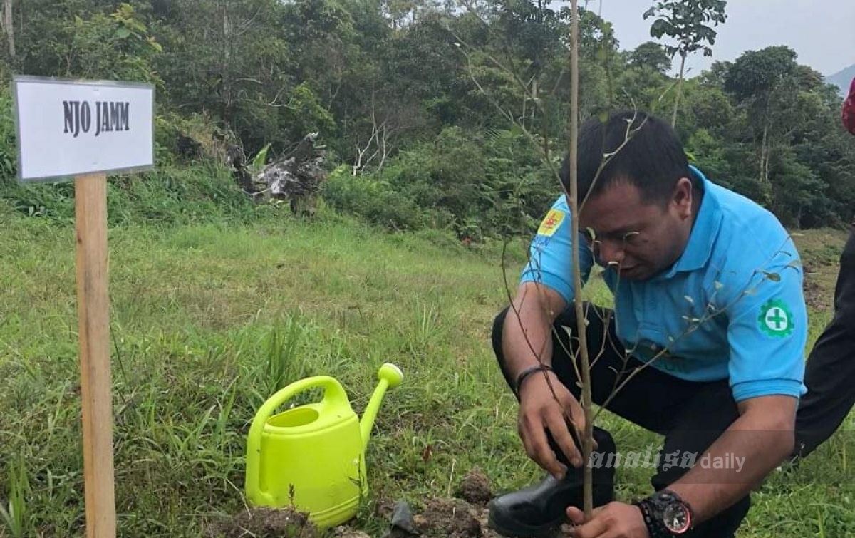 Perusahaan Didorong Lakukan Gerakan Penanaman Pohon