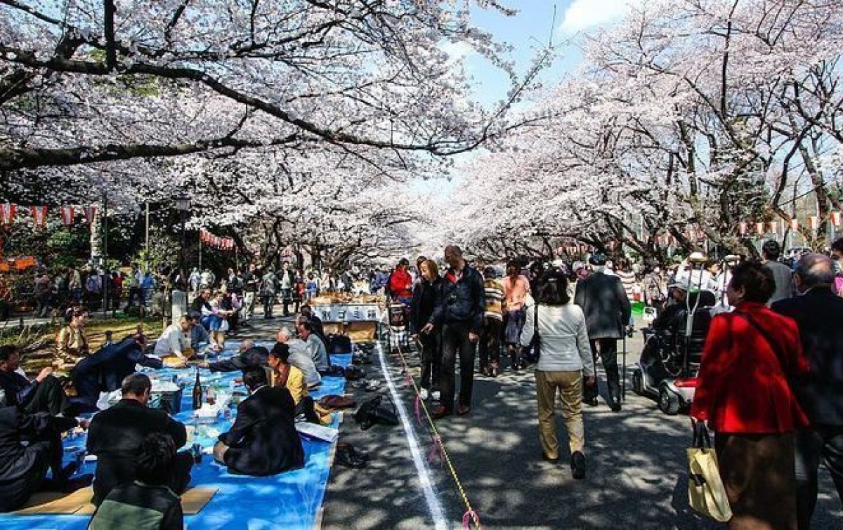 Tempat Wisata Populer di Jepang yang Wajib Ada di List Liburan Anda