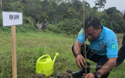 Perusahaan Didorong Lakukan Gerakan Penanaman Pohon