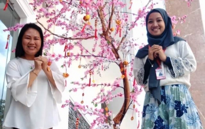 Kisah Dibalik Pohon Hias Meihua