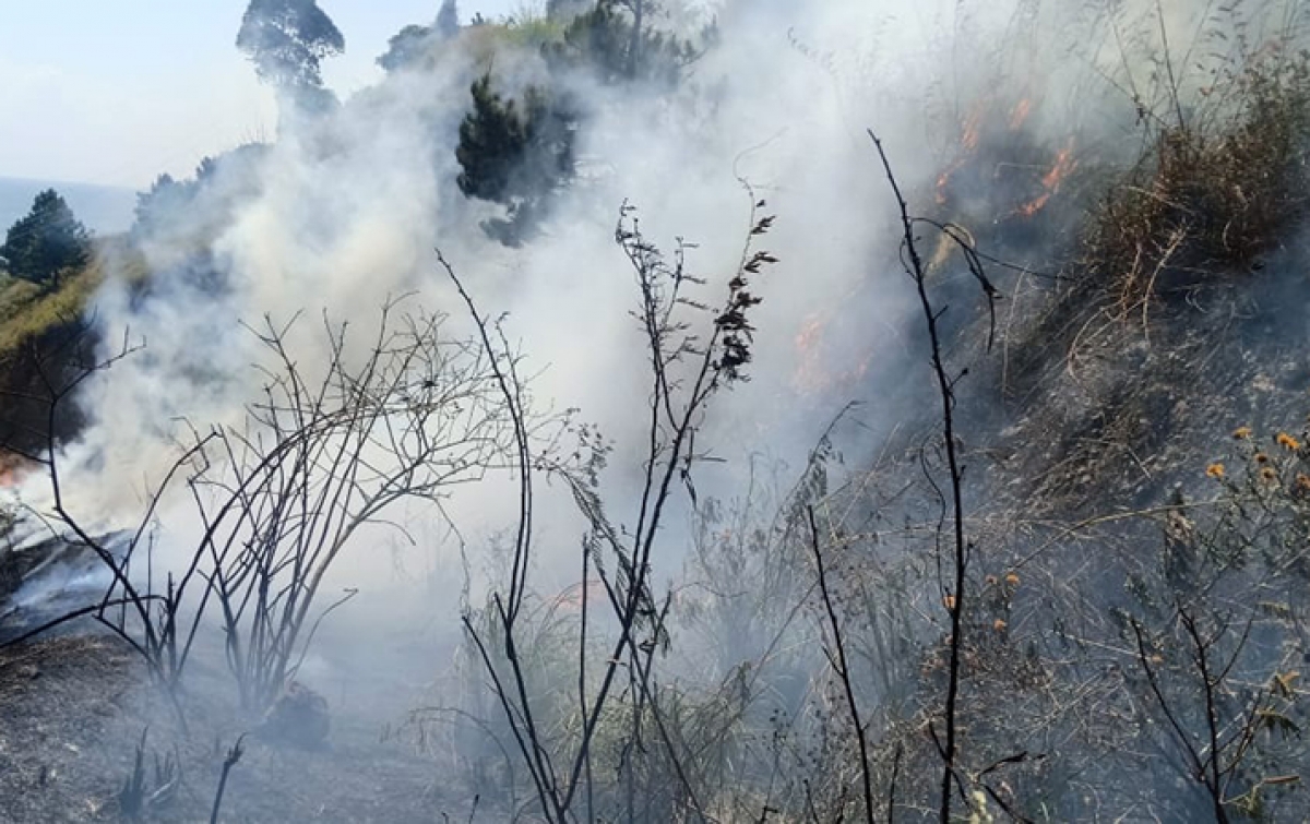 Kebakaran Hutan dan Lahan Terjadi di Desa Paropo Dairi