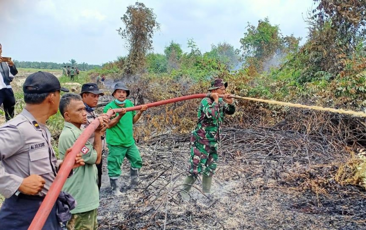 Personel Gabungan Padamkan Api di Lahan Gambut