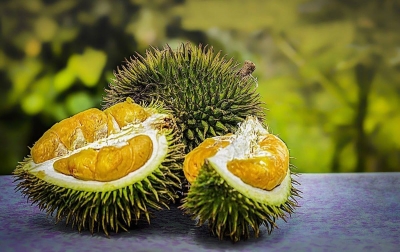Durian Berpotensi Jadi Bahan Pengisian Daya Perangkat Elektronik