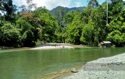 Dampak Corona COVID-19, Banyak Wisman Batalkan Kunjungan ke Tangkahan