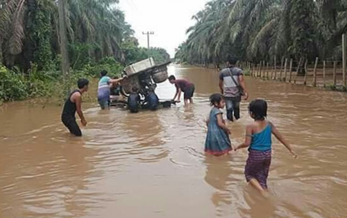 Ribuan Hektare Kebun dan Sawah Warga di Simangambat Terendam Banjir