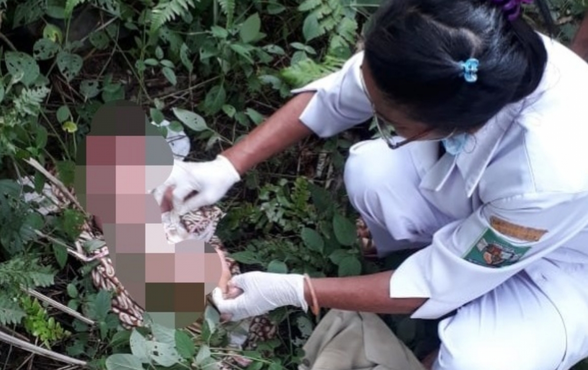 Bayi Perempuan Ditemukan Warga di Perkebunan Sawit