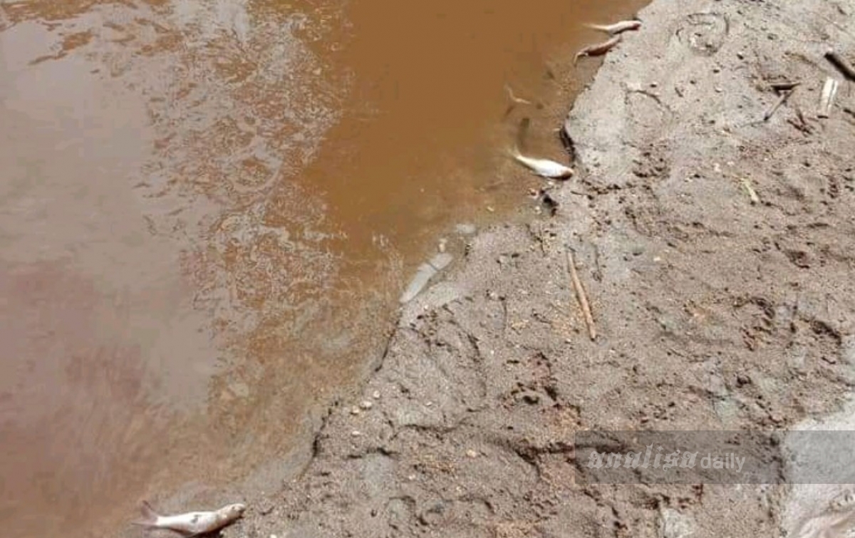 Tercemar Limbah, Sungai Belutu Keruh dan Berbau Busuk