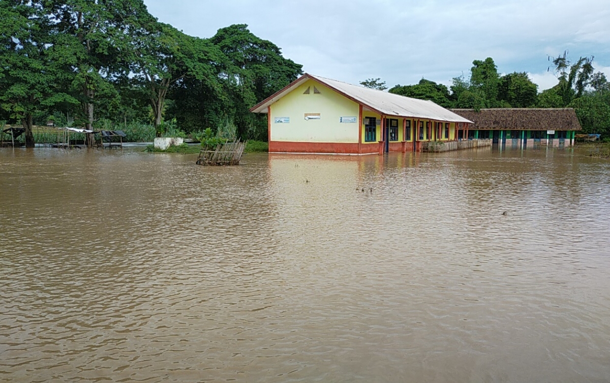 Oku Selatan Dilanda Banjir, Sawah 3,5 Hektare Terancam Gagal Panen