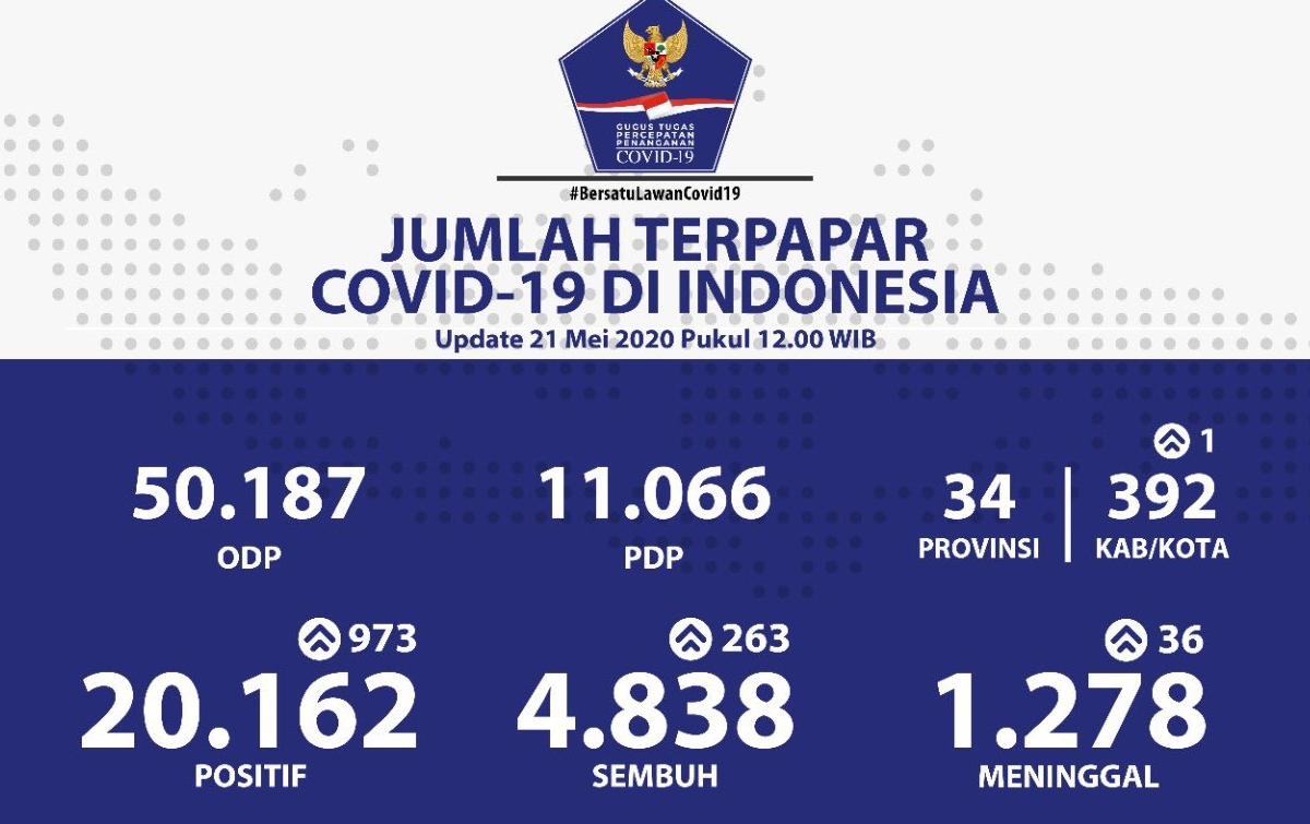 Update Corona di Indonesia: Positif 20.162, Sembuh 4.838