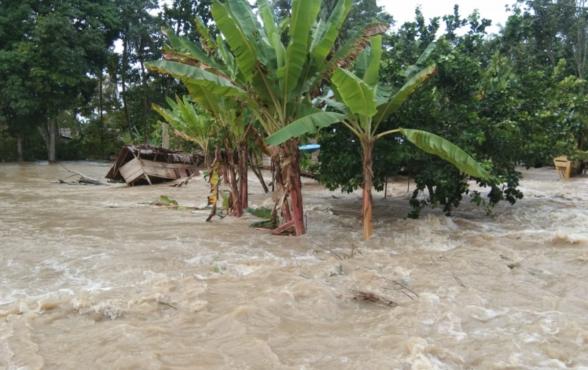 Sejumlah Wilayah di Indonesia Dilanda Banjir, Ratusan Keluarga Terdampak