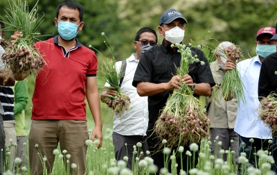 Panen Bawang 16 Ton, Edy Apresiasi Para Petani