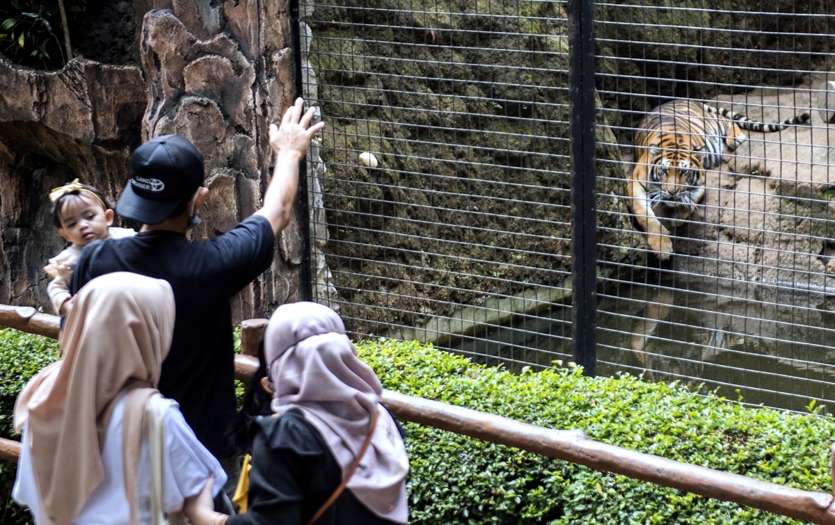 Foto: Kebun Binatang Bandung dibuka Kembali