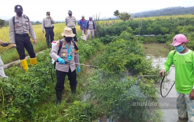 Petani Diharap Tetap Semangat dan Ikuti Protokol Kesehatan