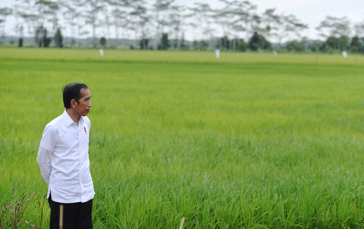 Jumlah Penambahan Pasien Corona Tinggi, Ini Kata Jokowi