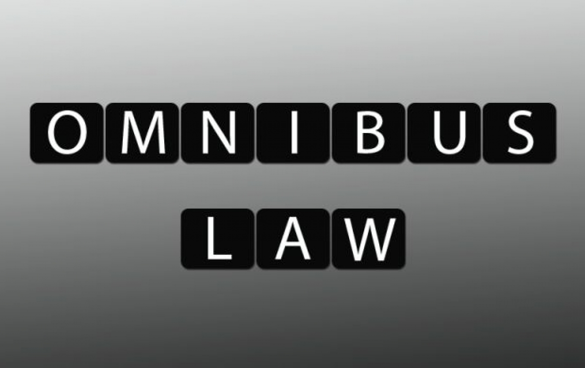 Omnibus Law Strategi Paling Memungkinkan Atasi Masalah Ekonomi