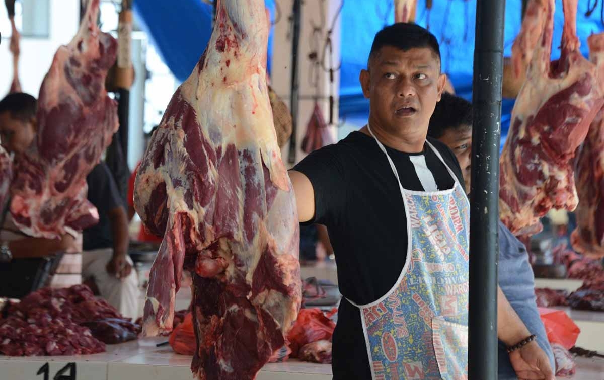 Pengamat: Penjualan Sapi Diperkirakan Turun 33 Persen Jelang Idul Adha