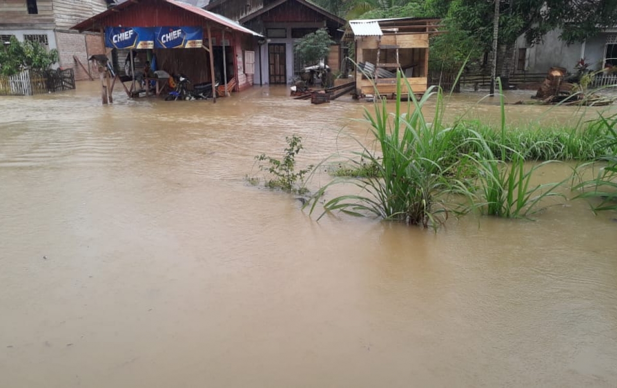 3.985 Warga Terdampak Banjir di Aceh Selatan