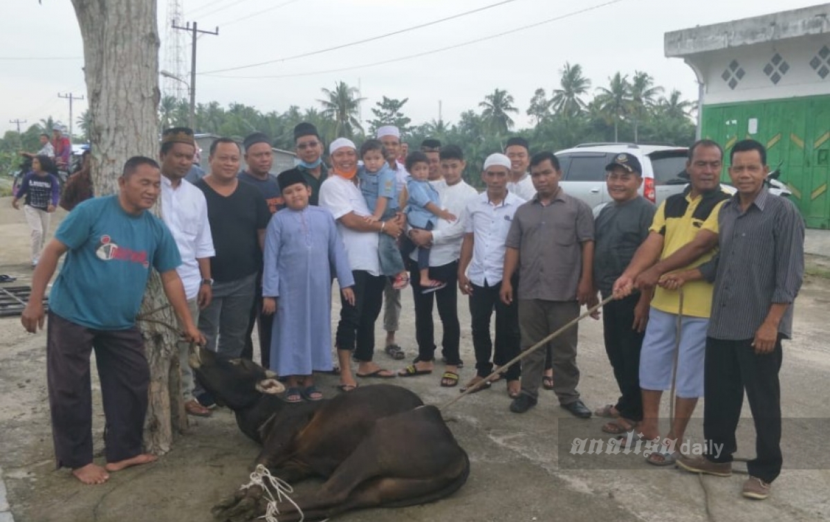 Kadin Batubara Sembelih Empat Ekor Sapi