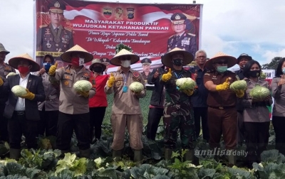 Masyarakat Didorong Agar Produktif Bercocok Tanam