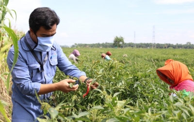 Inalum Launching Desa Agrowisata di Sekitar Jalur Transmisi