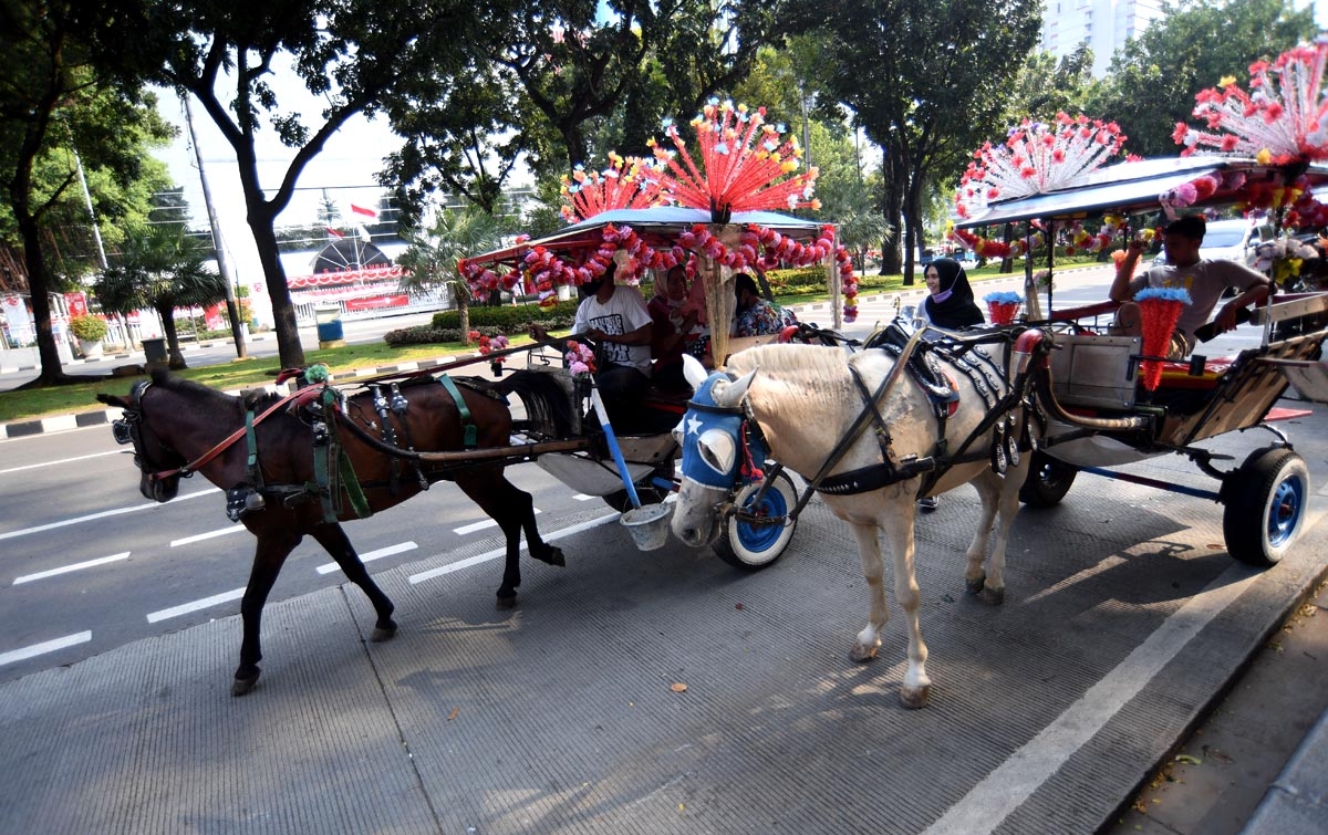 Foto: Sewa Delman Berkeliling Monas