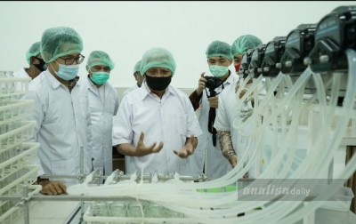 Asahan Diharapkan Jadi Wilayah Penghasil Pisang