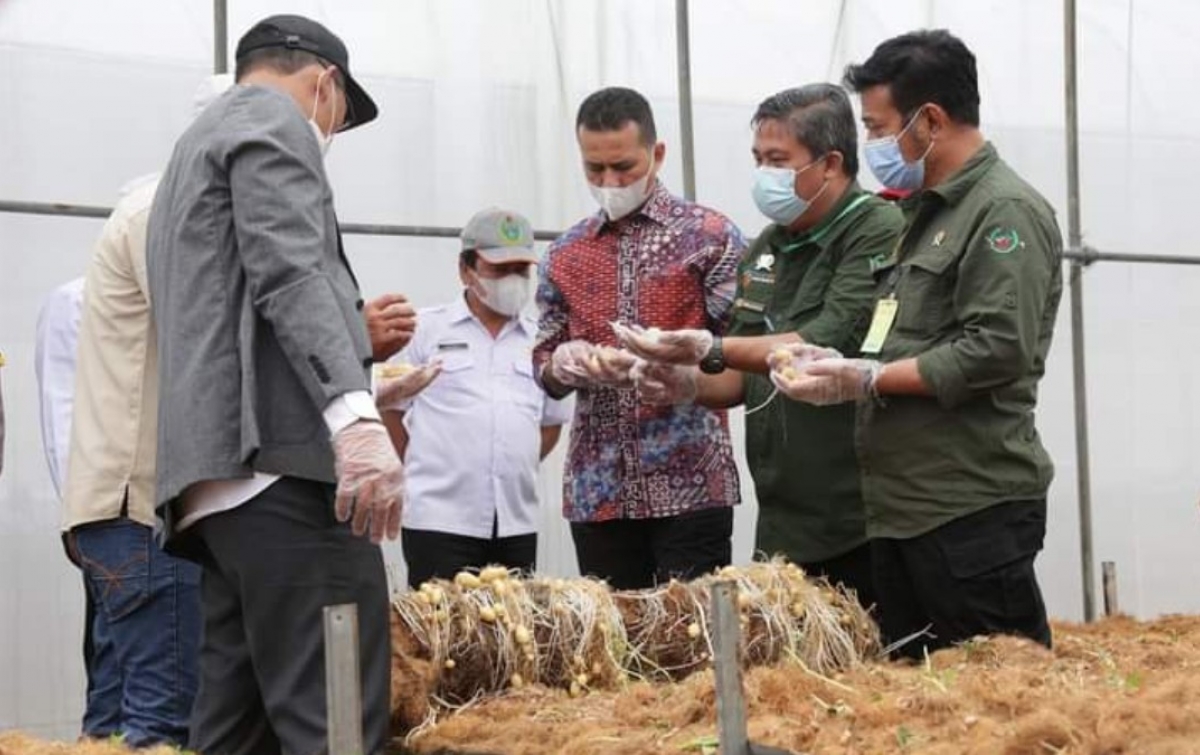 Program Food Estate di Humbang Hasundutan Dimulai Bulan Depan