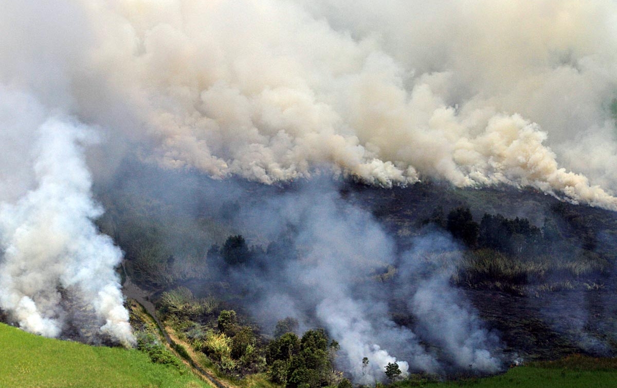 Foto: Kebakaran Hutan dan Lahan