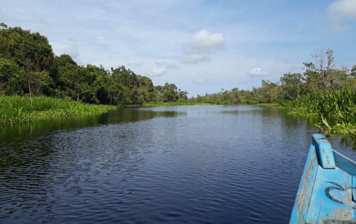Pesona Rawa Singkil, Wisata Amazon Kedua Indonesia