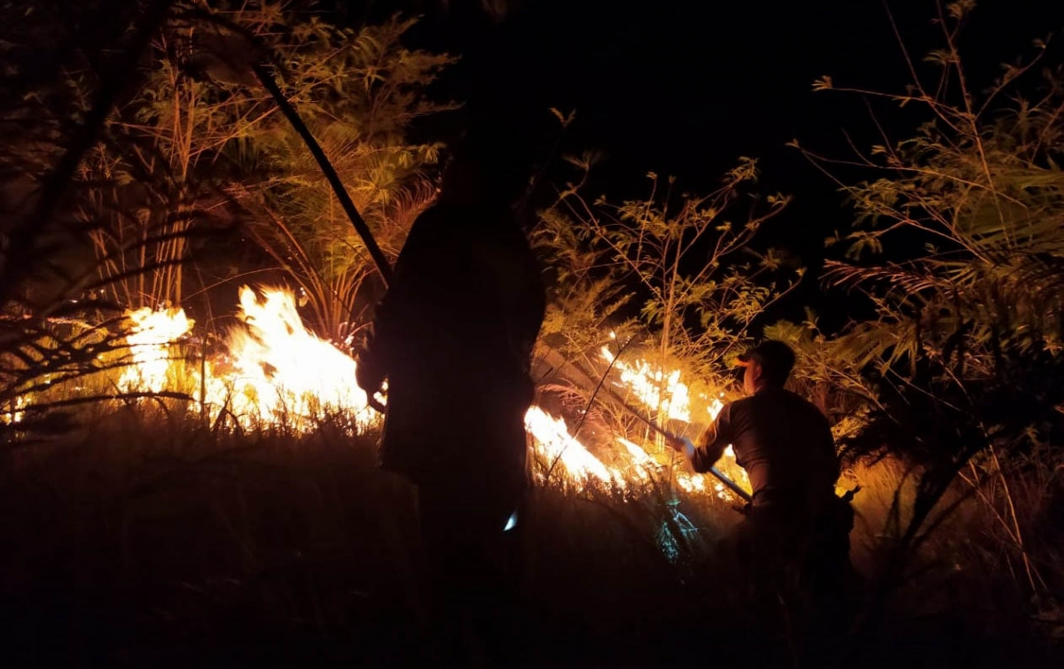 Lahan Warga Seluas 1 Hektare Terbakar, Diduga Akibat Api Rokok