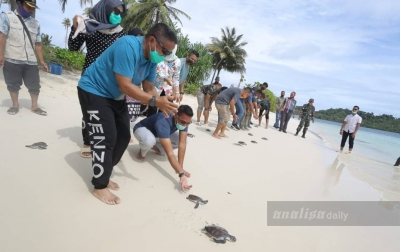 Dukung Konservasi Satwa Dilindungi, Pangdam IM Lepas Tukik di Pulau Banyak