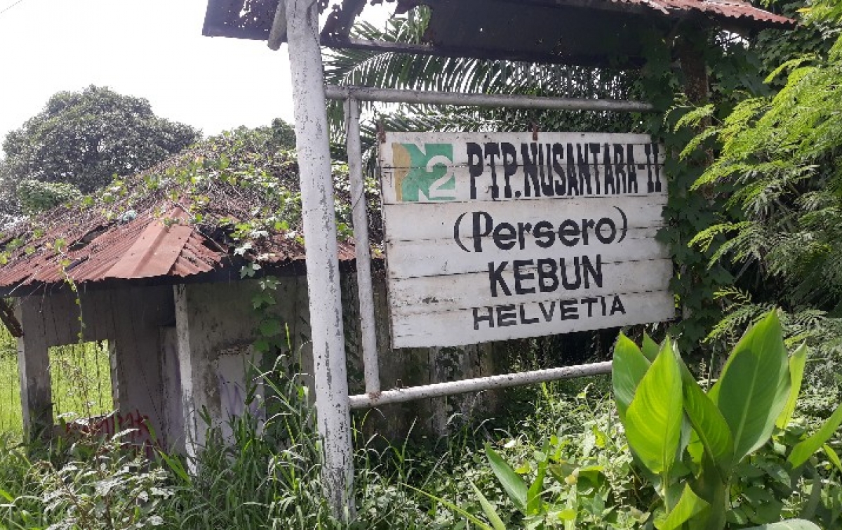 Terkait Proyek Kota Deli Megapolitan, Pensiunan PTPN 2 Merasa Diintimidasi