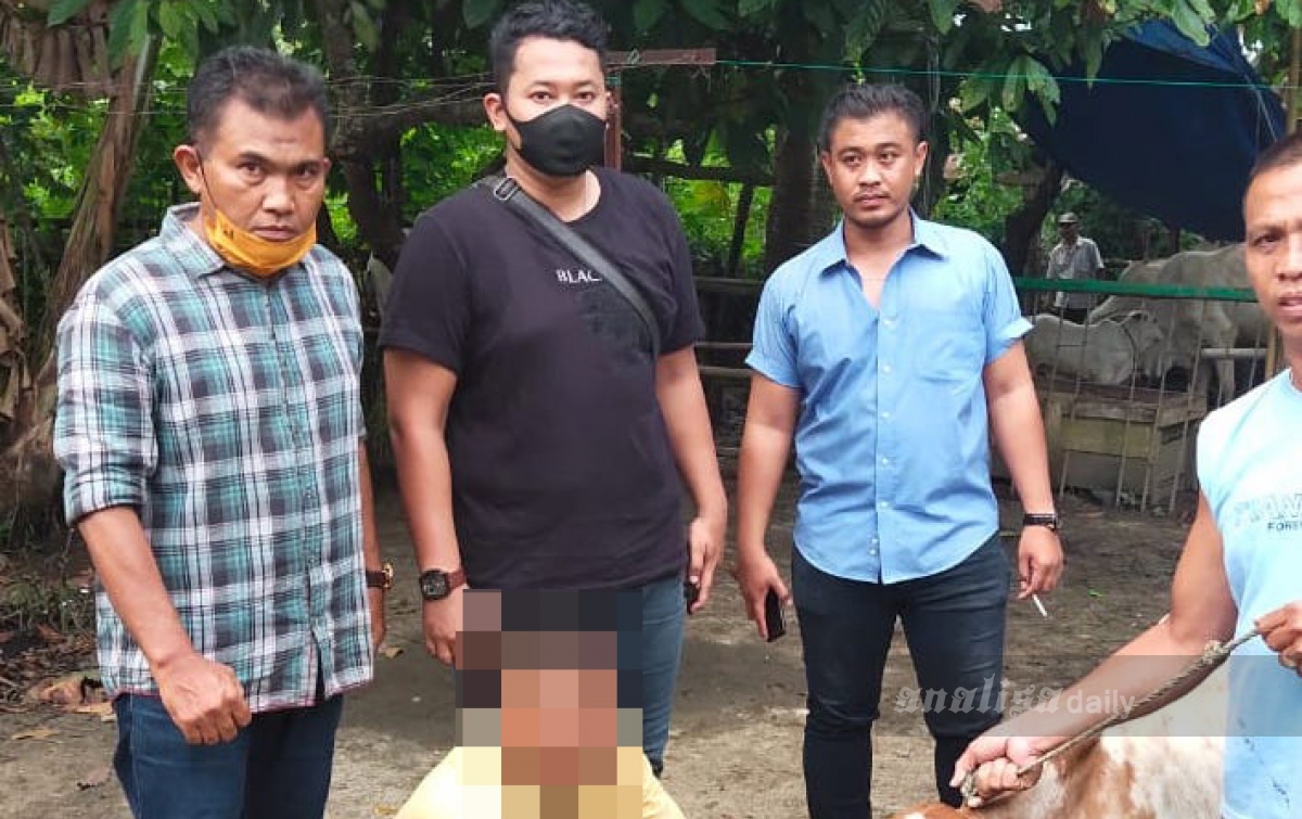 Polsek Serbalawan Tangkap Spesialis Pencuri Lembu