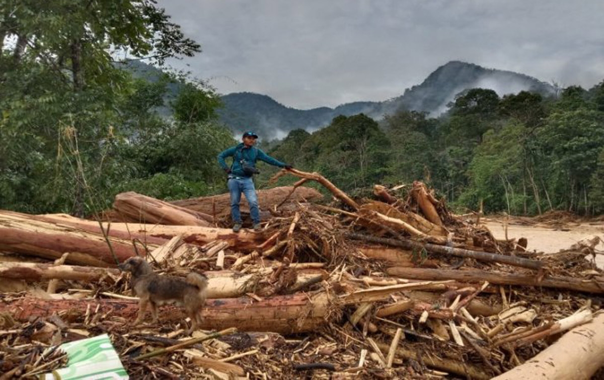 Berikut Dampak Banjir Bandang Bahorok