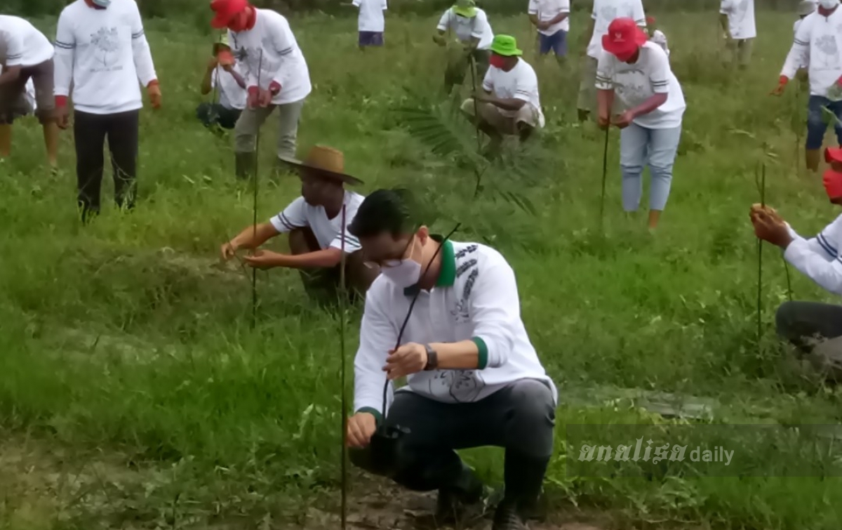 Peduli Lingkungan, PT NIY Tanam 3.000 Pohon Sengon Wamena