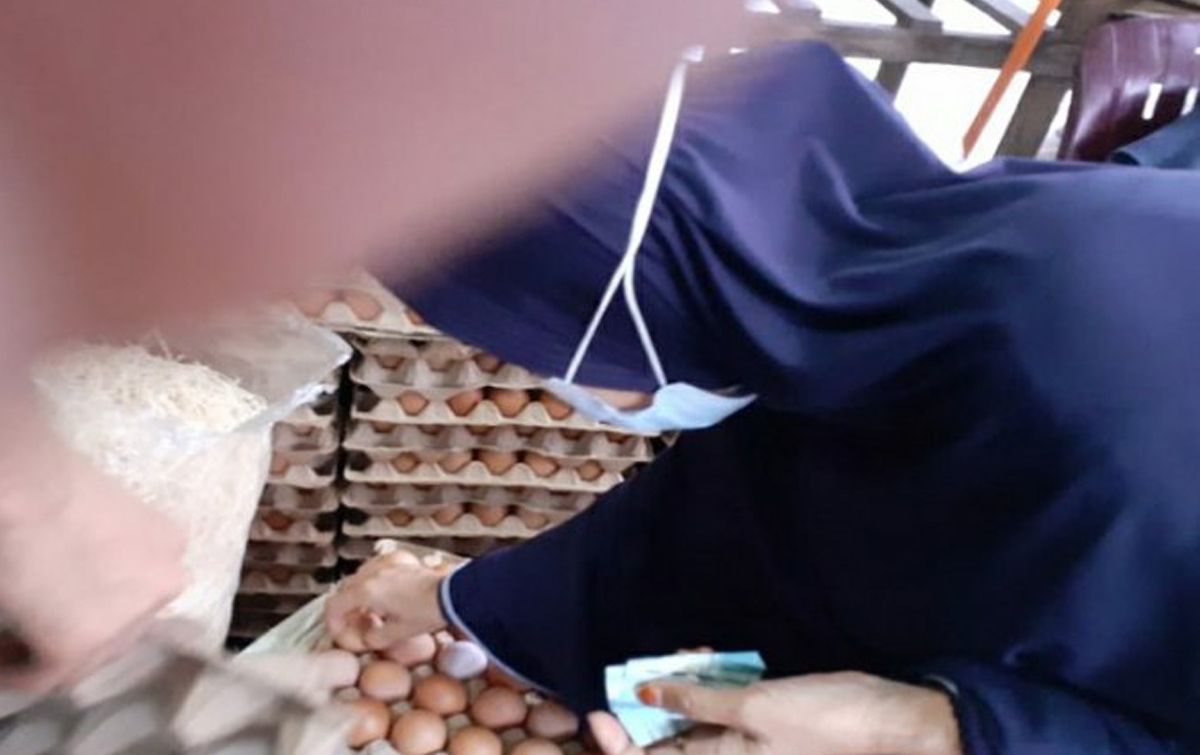 Harga Ayam dan Telur Naik Jelang Natal
