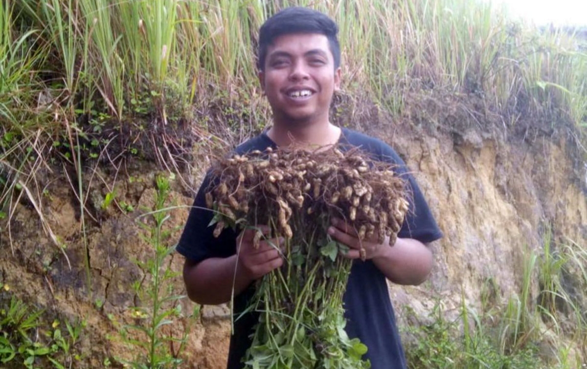 Jaga Ketahanan Pangan, Pemuda Diajak Pulang Kampung