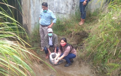 TPL Tabur 1.000 Benih Ikan di Parmonangan