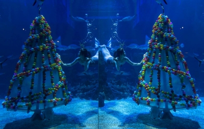 Foto: Pertunjukan Bawah Air