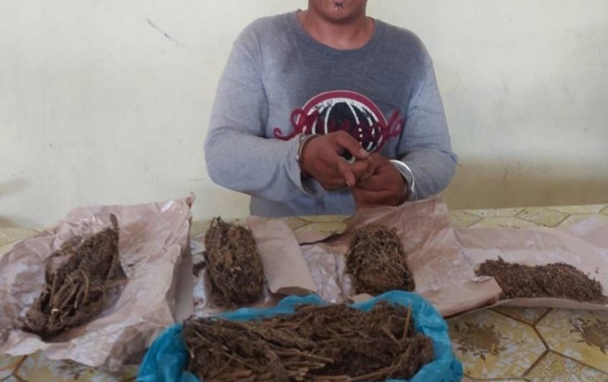 Grebek Rumah, Polisi Temukan 5 Bungkus Ganja
