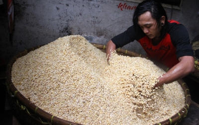 Pengamat Ekonomi: Harga Kedelai Dunia Naik