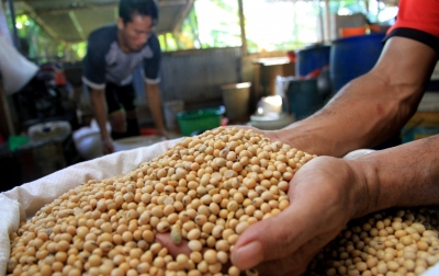 Harga Kedelai Masih Menguat Sampai Mei 2021