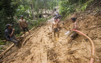 Herman Soroti Eksplorasi Hutan Berlebihan