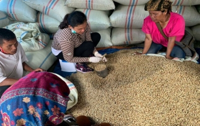 Harga Kopi Dalam Negeri Bertahan Stabil