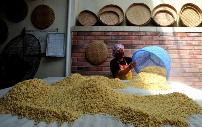 Stok Kedelai Cukup Penuhi Kebutuhan Nasional