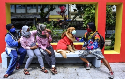 Foto: Melatih Anjing Taat Prokes