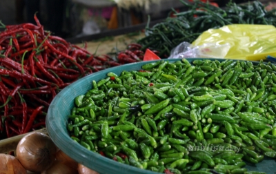 Harga Cabai di Sumatera Utara Dalam Tren Penurunan